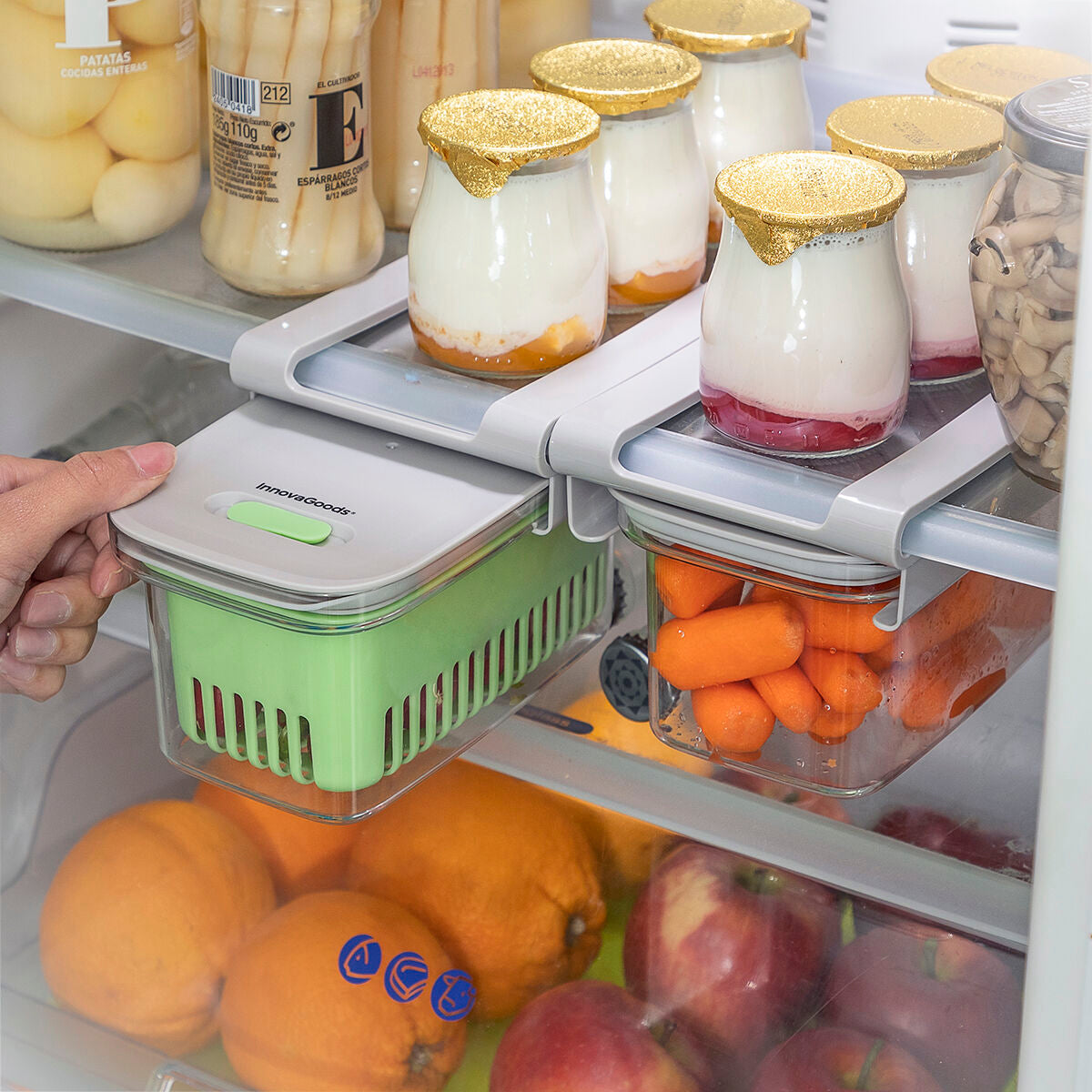 Recipiente Conservador de Alimentos Prefo