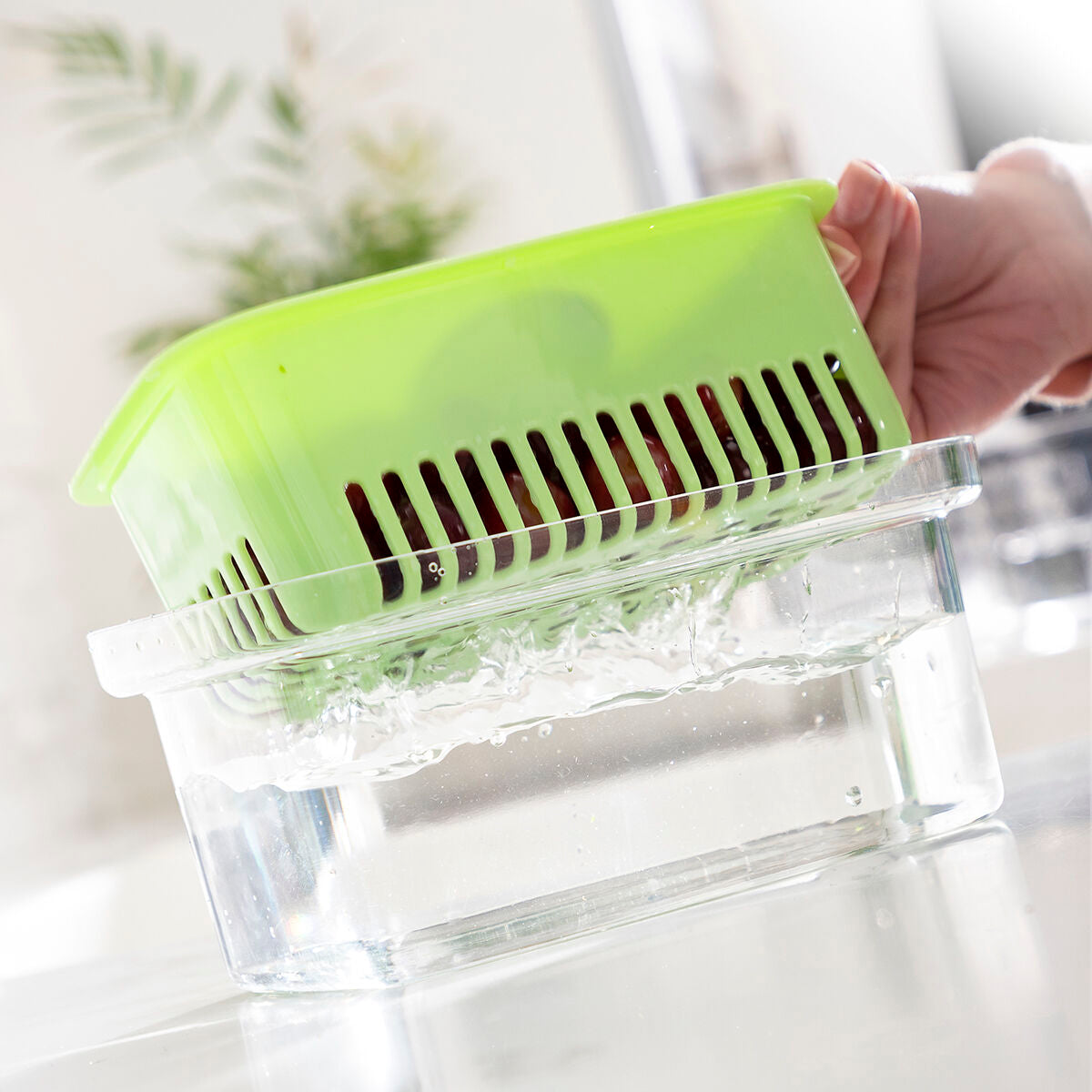 Recipiente Conservador de Alimentos Prefo